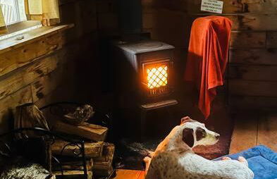 Log Cabin at Naughty Dog Private Island - Foto 7