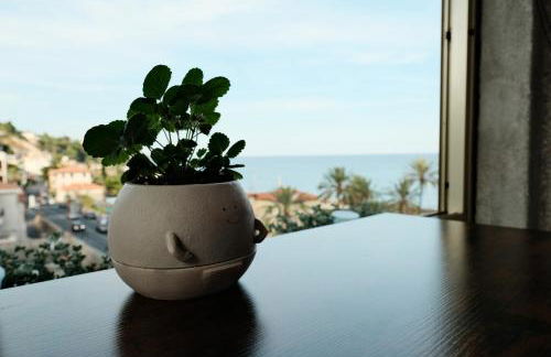 Alba bordigotta - Photo 14