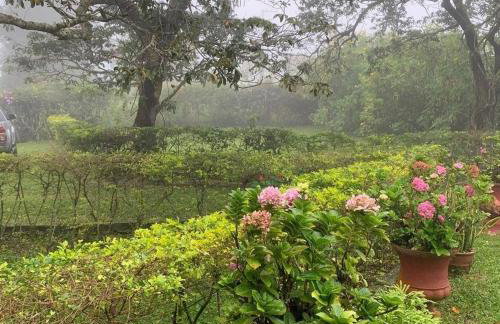 Sítio São Gerardo - Aconchegante casa no campo. - Foto 3
