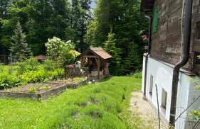 Apartments Montana - Foto 19