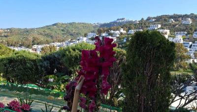 Yvonni Studios - Photo 3