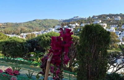 Yvonni Studios - Foto 3