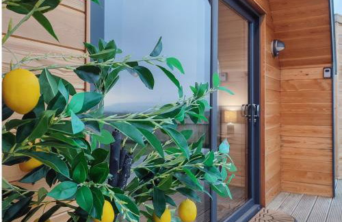 Ben Rinnes - Ukc6028 - Foto 2