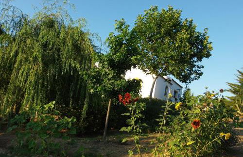 Ninho Da Poupa - Foto 25