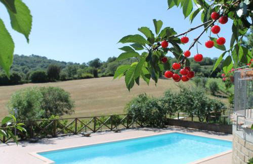 MacchiaPiana - Foto 11