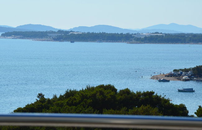 Sun seeker - Photo 2