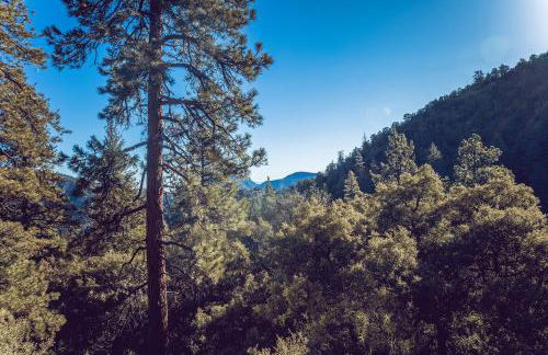 Spectacular Designer Treehouse with Mountain Views - Foto 38