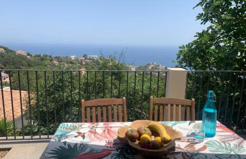 Rez de villa avec terrasse vue mer - Foto 1