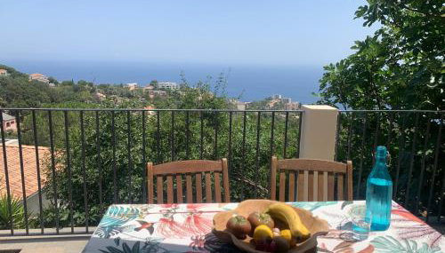 Rez de villa avec terrasse vue mer - Foto 1