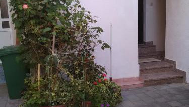 Apartment Tičić - Foto 3