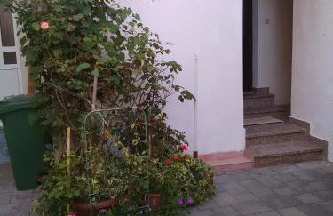 Apartment Tičić - Foto 3