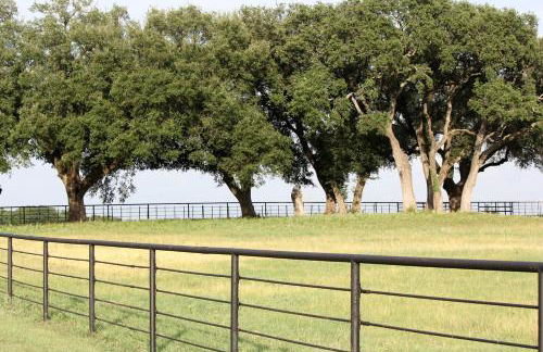 Peaceful Cottage on Farm in Idyllic Countryside near Fort Worth, Texas - Photo 8