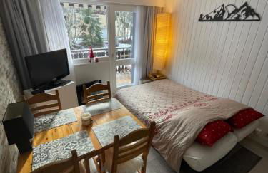 Cosy 2 pièces proche Châtel - Foto 10