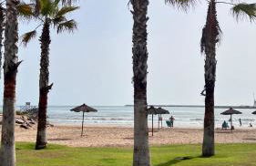 Beach house MAREA CORAL - Foto 29