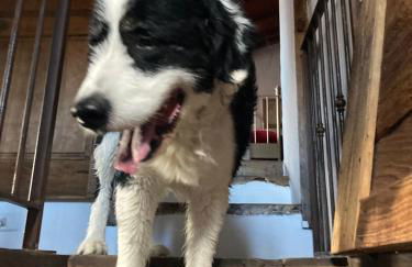 La casina del prete - Foto 18