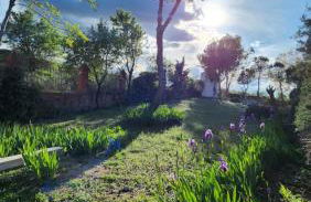 Agroturismo Viña Inés Toledo - Photo 32