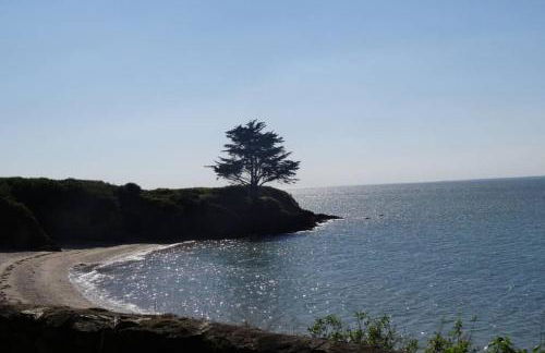 Ty Gwenn, dans un parc boisé, la plage à vos pieds - Foto 32