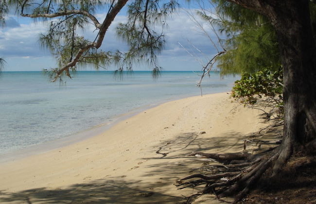 Waterway Condos - Foto 24