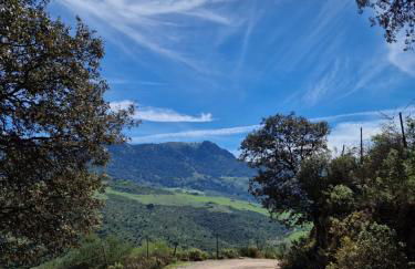 El Pitijopo - Foto 35