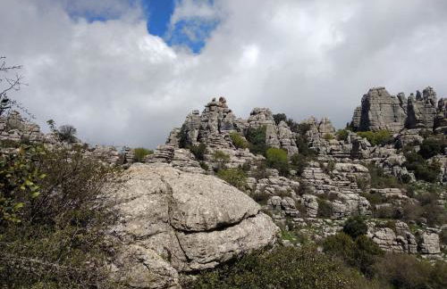 Apto I Santa Clara centro - Photo 15