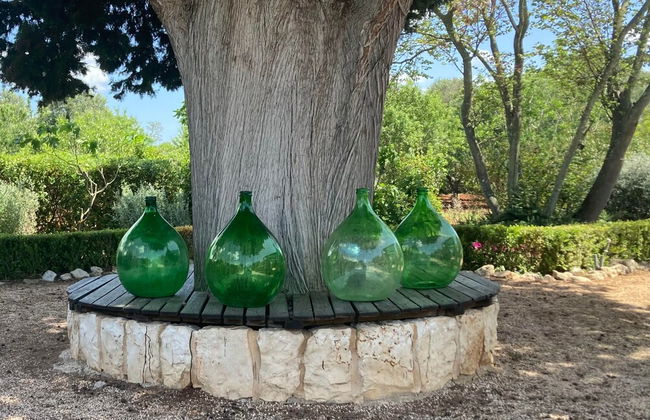 Trulli Mimosa by Pugliadamare - Foto 25