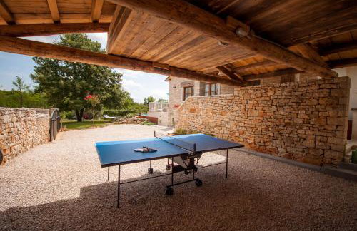 Family Villa Lipica with private pool and jacuzzi - Photo 13