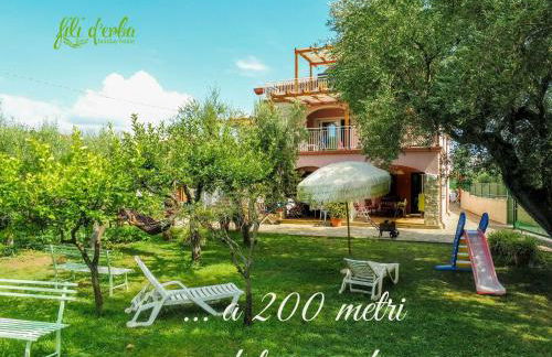 Fili d'Erba Cilento - Foto 1