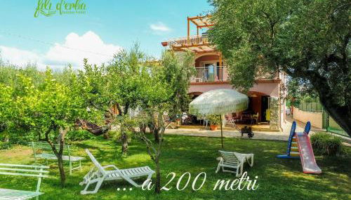 Fili d'Erba Cilento - Foto 1, sunbed, Garden view