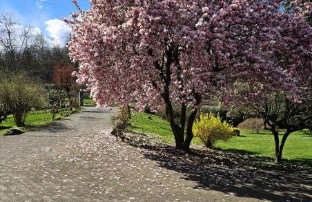 La casetta di Gianni - Foto 6