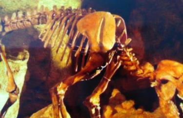 Ferienwohnung mit kleinem Garten - Foto 67