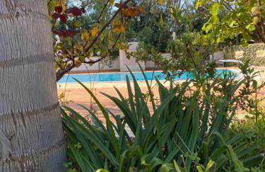 Villa Rosemary - Photo 36