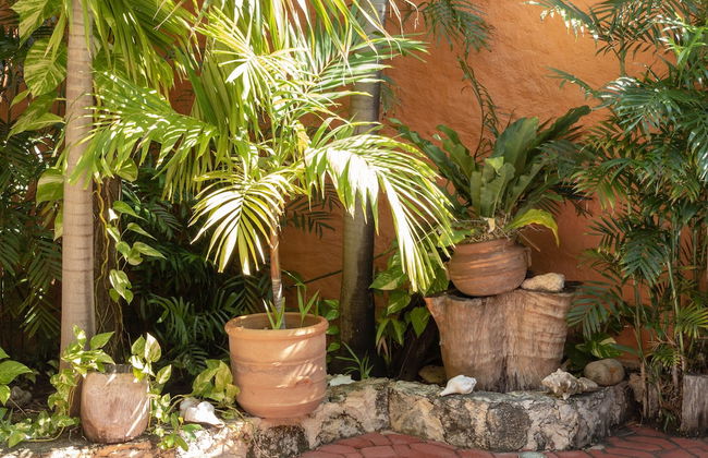 Casa Mulder - Photo 55