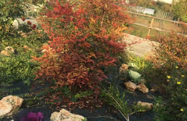 Agriturismo da Mamma - Foto 52