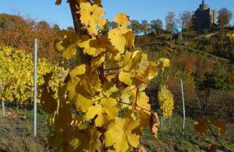 Das Kartenhaus - Foto 30