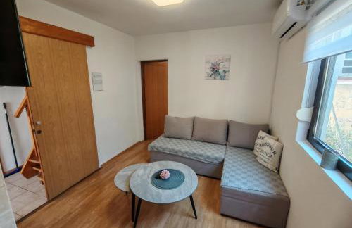 ĆOSIĆ APARTMANI IGRANE - Foto 17