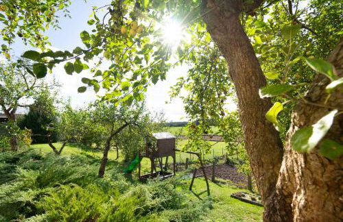 Folwark Minikowo - Agroturystyka w Borach Tucholskich - 5 pokoi z prywatnymi łazienkami - Foto 25