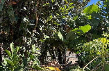 Sea & Mountain View Home in Machico - Foto 18