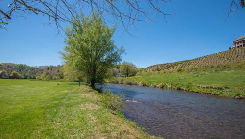River Access, VIEWS, Sleeps 8, Fire Pit - Foto 4