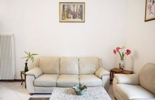 Casina modesta - Foto 23