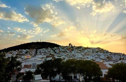 La Payana, Prado del Rey muy cerca de El Bosque - Foto 21