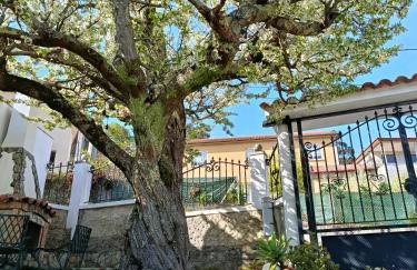 Vila Pombal - Photo 33