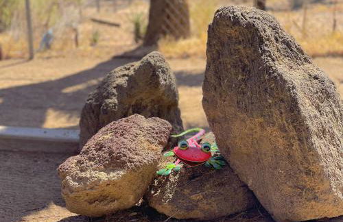 *NEW*King Beds*BBQ Grill*Fire-pit*Hammock*workplace - Foto 39