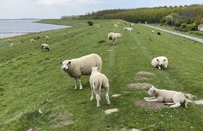 Welcoming Apartment Near Lake - Photo 23