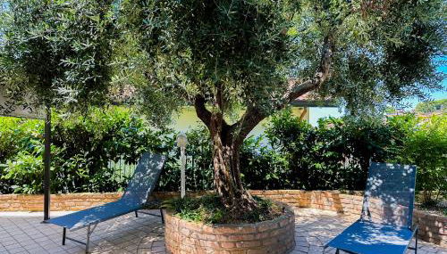 Gio' Garden - Foto 3, Garden