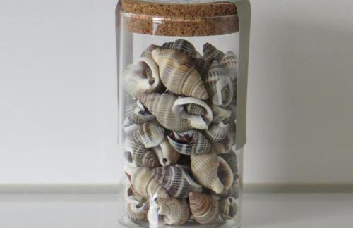 Ferienwohnungen Familie Schwarze - Foto 66