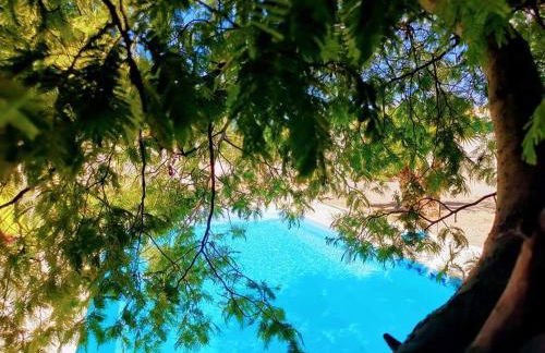 Villa Napoléon Piscine&Jacuzzi - Foto 26