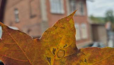 Ferienwohnung Sonnenschein Familie Hamdorf - Foto 4