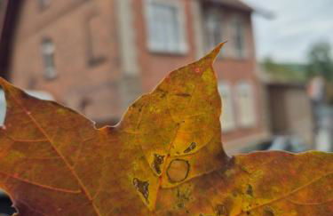 Ferienwohnung Sonnenschein Familie Hamdorf - Photo 4
