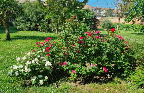 Angela di Venezia House - Foto 17