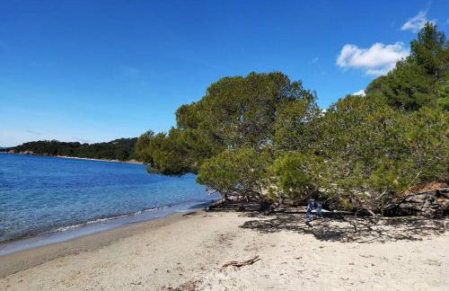 Le Figuier appart 2-3 pers en plein vignoble avec piscine privée à 30mn des gorgesdu Verdon et des plages - Foto 32